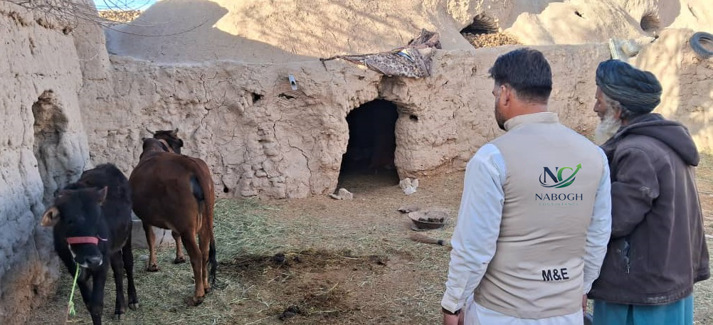 Monitoring and Evaluation